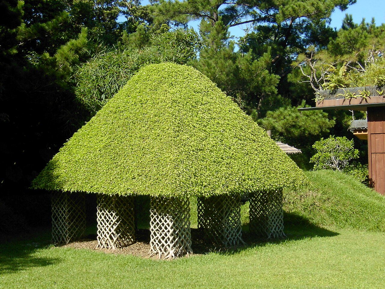 亜熱帯の庭園